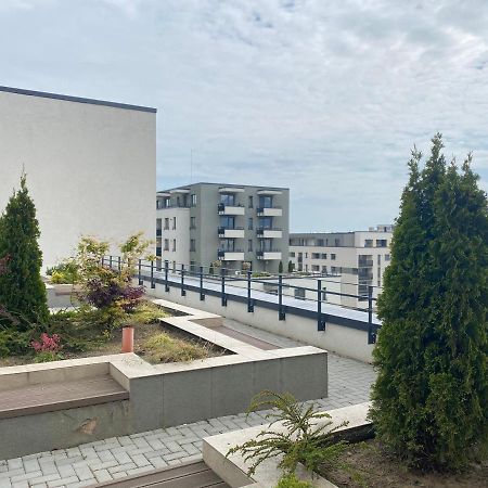 Astoria Apartment - Pet Friendly براشوف المظهر الخارجي الصورة